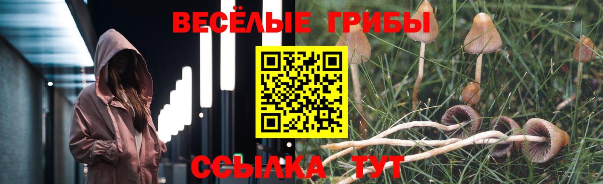Галлюциногенные грибы ЛСД Киржач