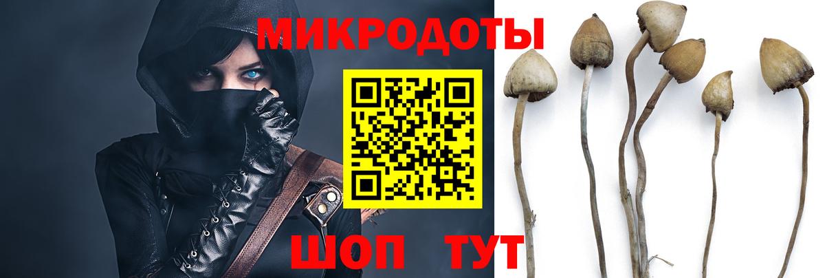 Киржач  Галлюциногенные грибы мицелий  Вход с VPN 